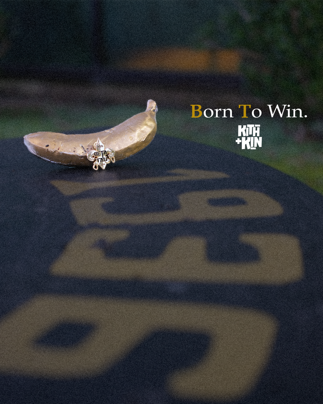 Beta Tau Centennial Homecoming Pin